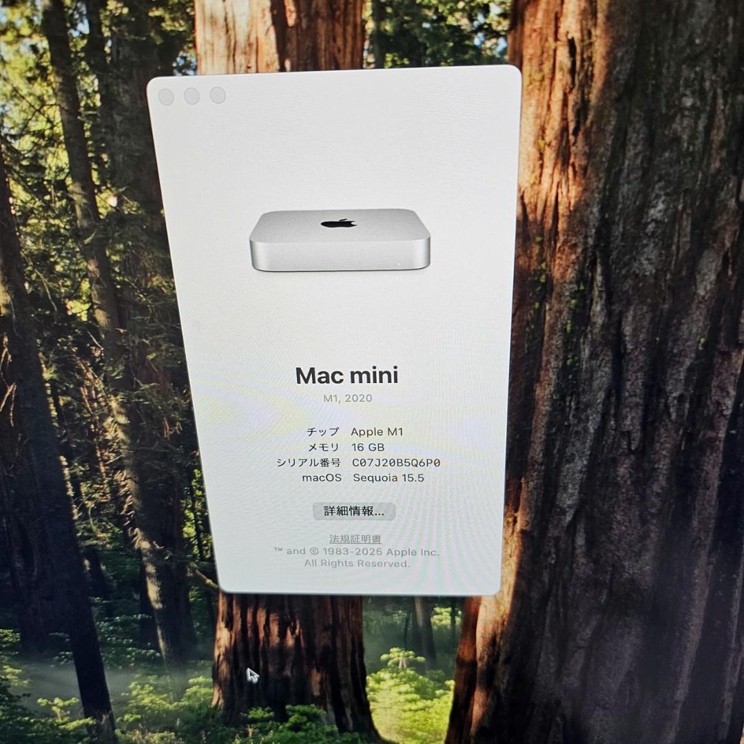 【美品】Mac mini 2020 M1 16GB 512GB