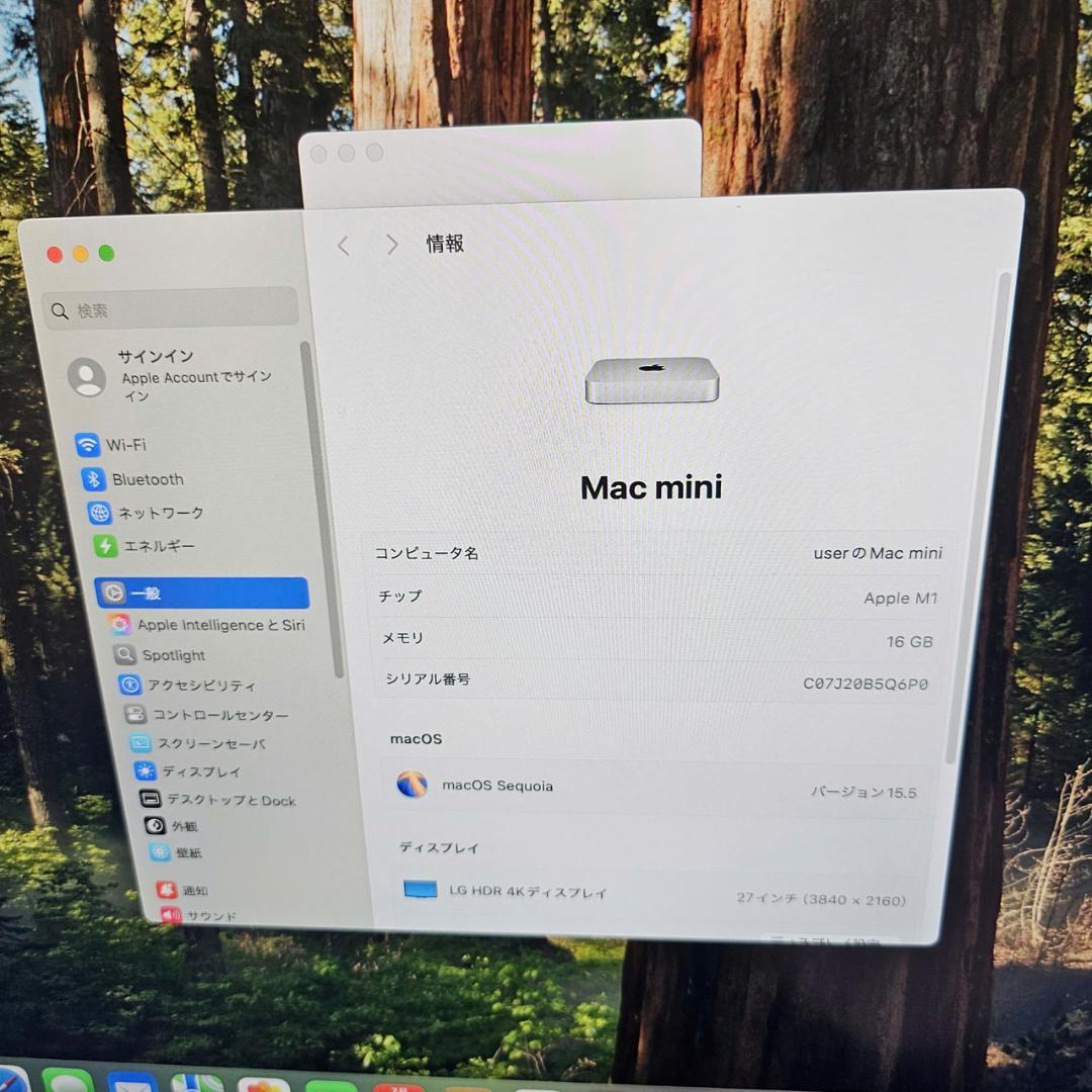 【美品】Mac mini 2020 M1 16GB 512GB