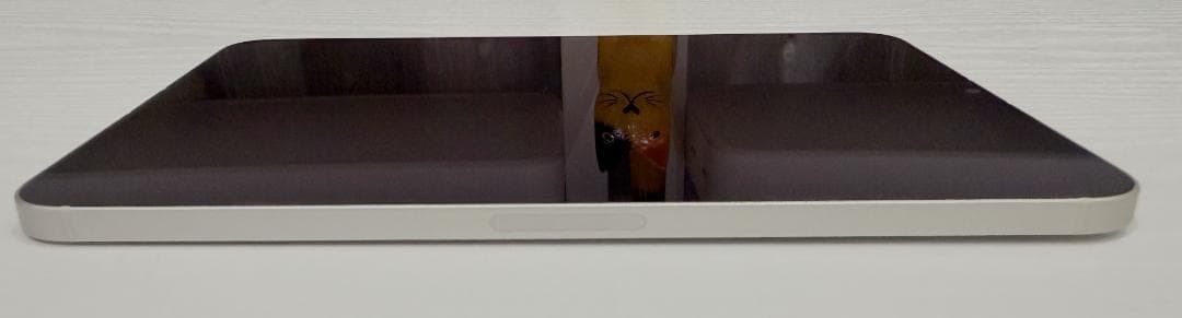 iPad mini 第7世代 Wi-Fi + Cellular 128GB