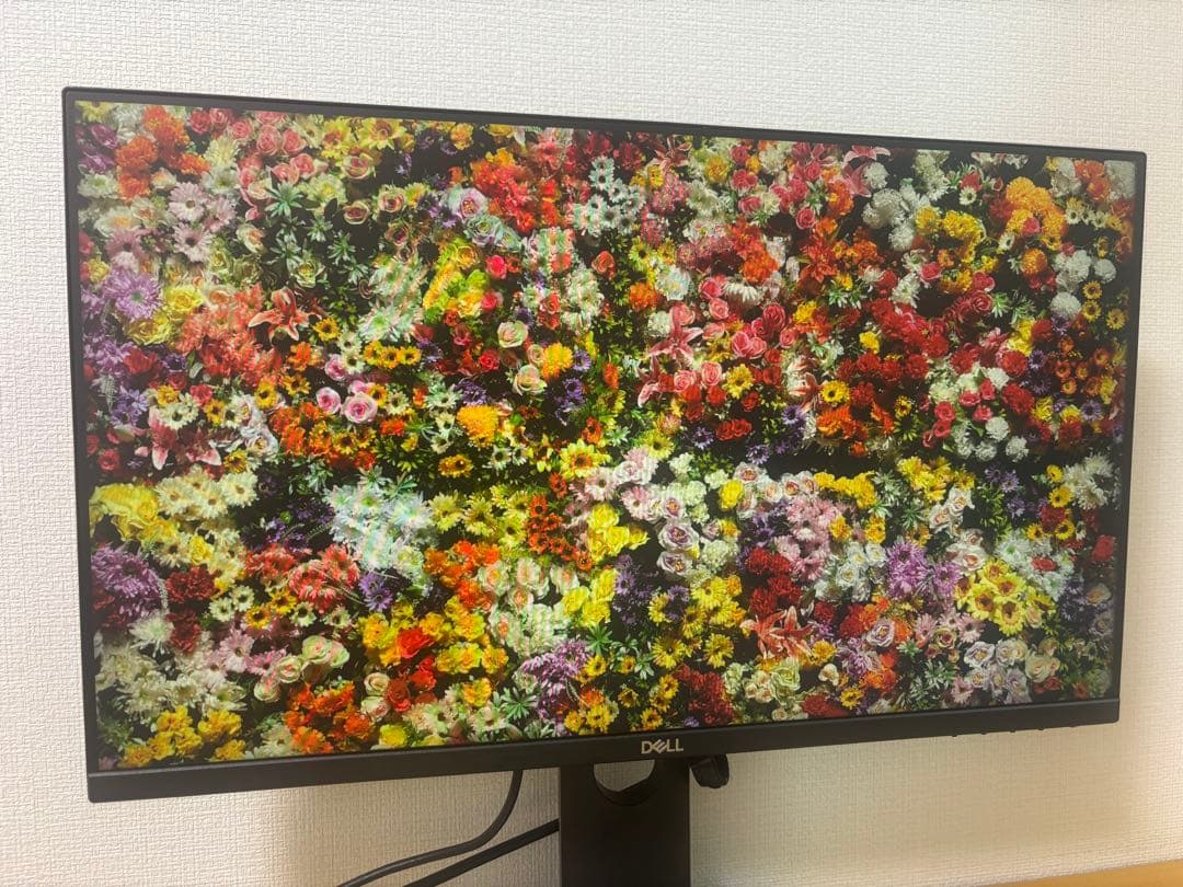 DELL P2419HC プロフェッショナルシリーズ 23.8in USB-C