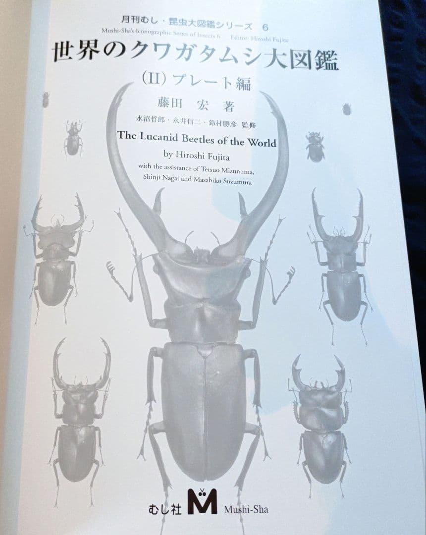 世界のクワガタムシ大図鑑 6