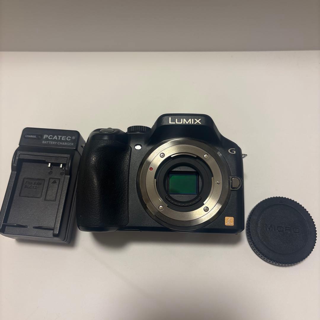 LUMIX DMC-G5 ミラーレス一眼 バッテリーチャージャー付き