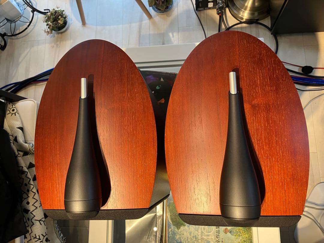 B&W 805S ROSENUT スピーカーペア美品（1台目）