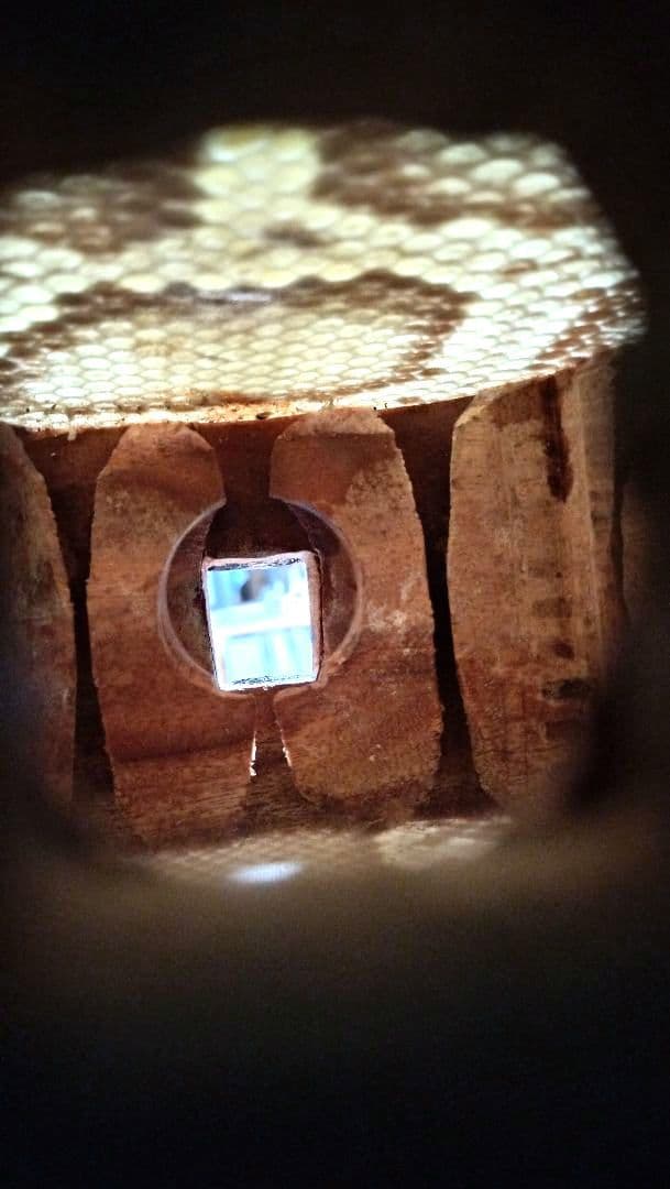 三線 本革 盛島開鐘チーガ 美品