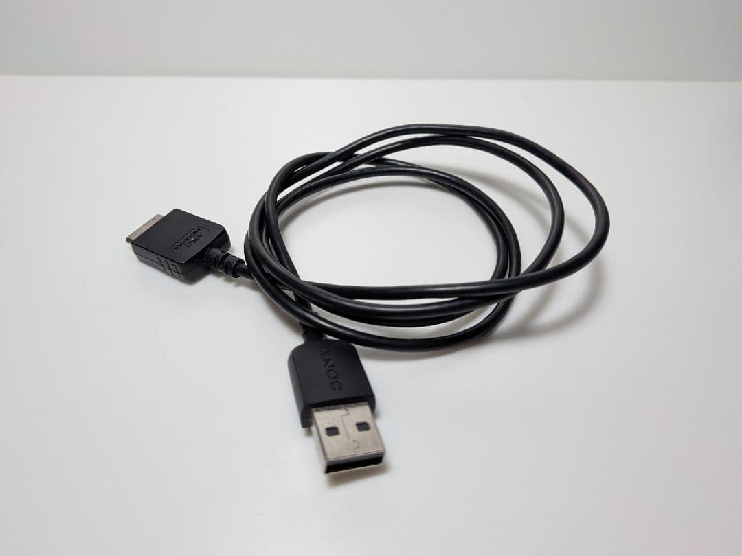 SONY NW-ZX100 128GB ハイレゾ ウォークマン　ケース2つ付