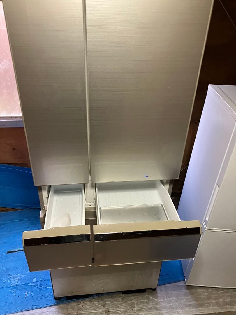 wisteria Near 11/16配達予定