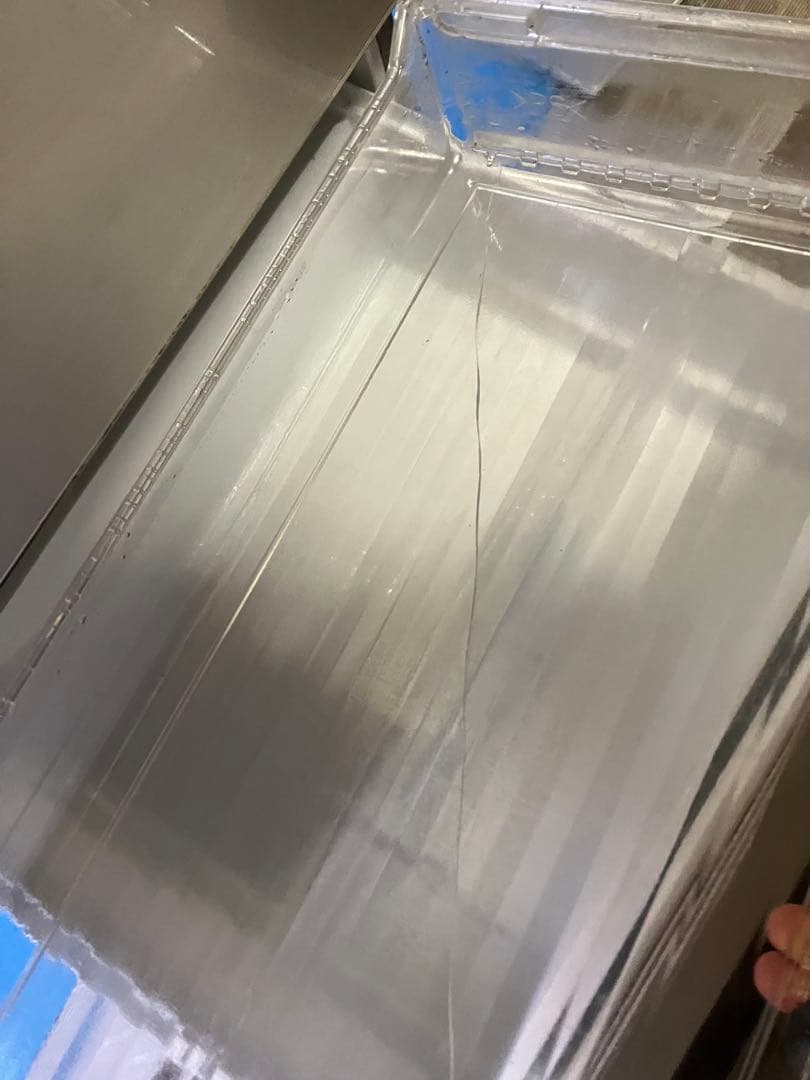 wisteria Near 11/16配達予定