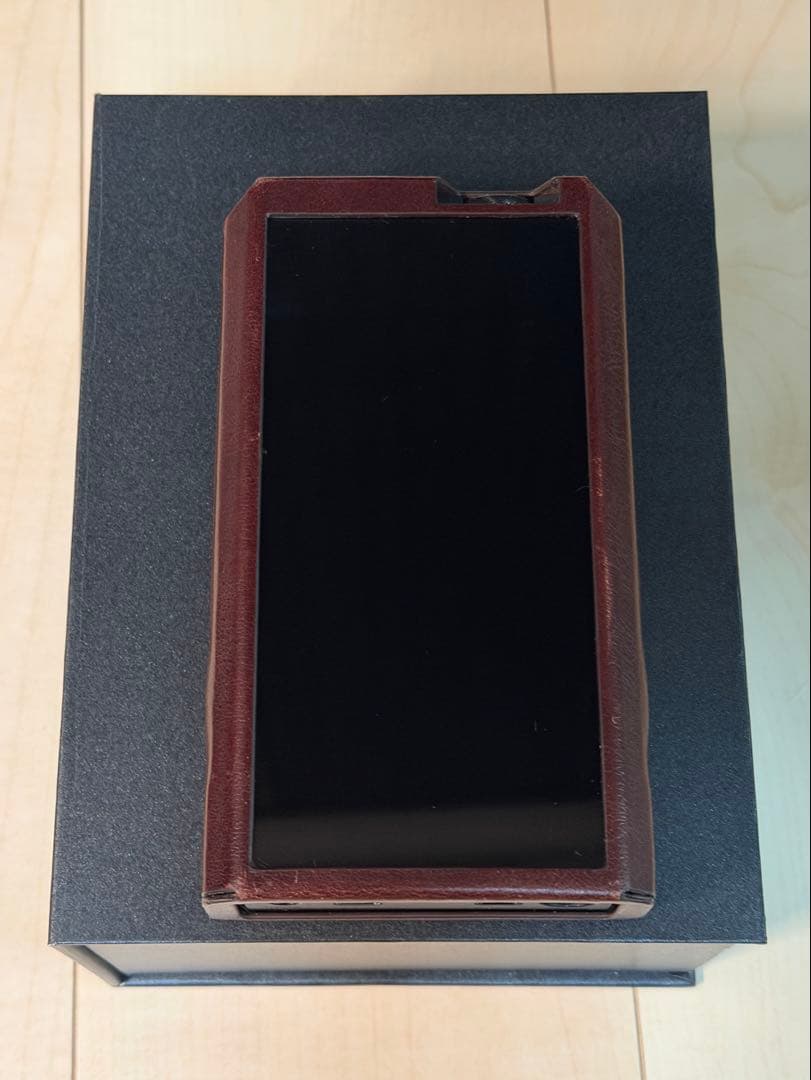 FiiO M17 デジタルオーディオプレーヤー iPower Elite付き