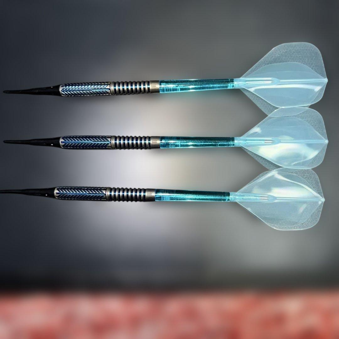 ダーツセット　(target carrera) 激安