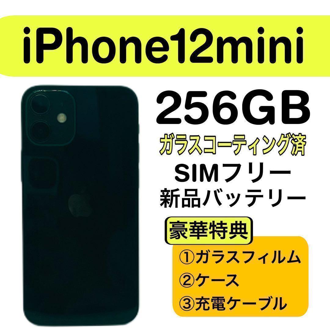 ⭐️新品バッテリー⭐️ iPhone 12mini 256GB SIMフリー 黒
