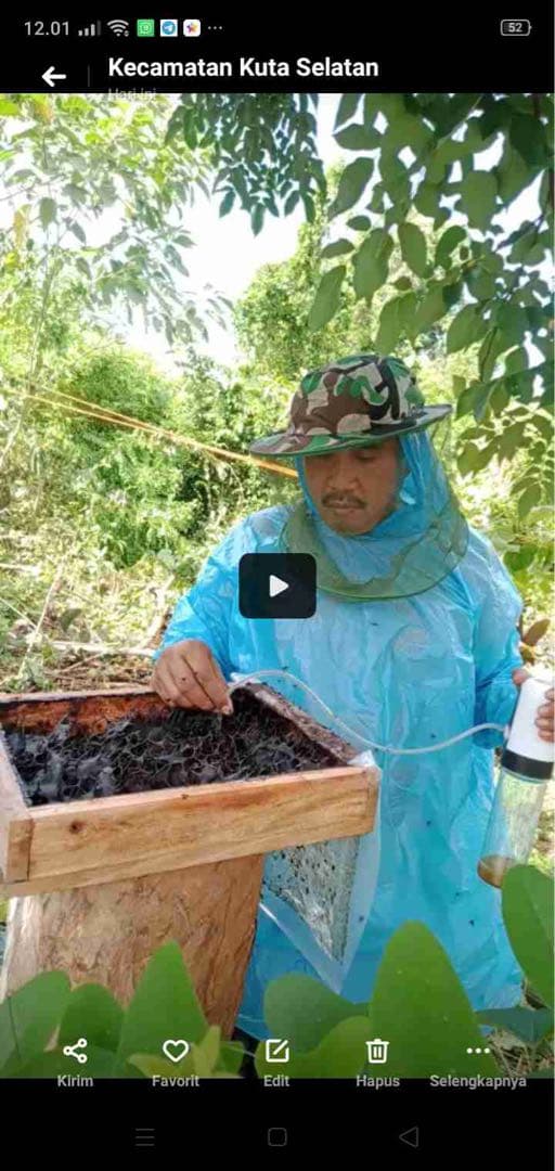 ナマコの肝さま 針なしミツバチの蜂蜜(完全非加熱)9本