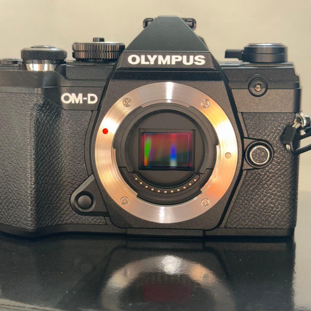オリンパスOM-D E-M5 Mark III + 12-45mm F4 PRO