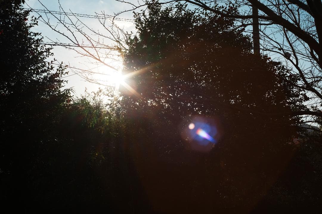 【この値段でライカ級】富岡光学製 XR RIKENON 50mm F2 490