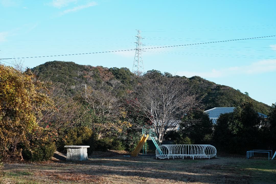 【この値段でライカ級】富岡光学製 XR RIKENON 50mm F2 490