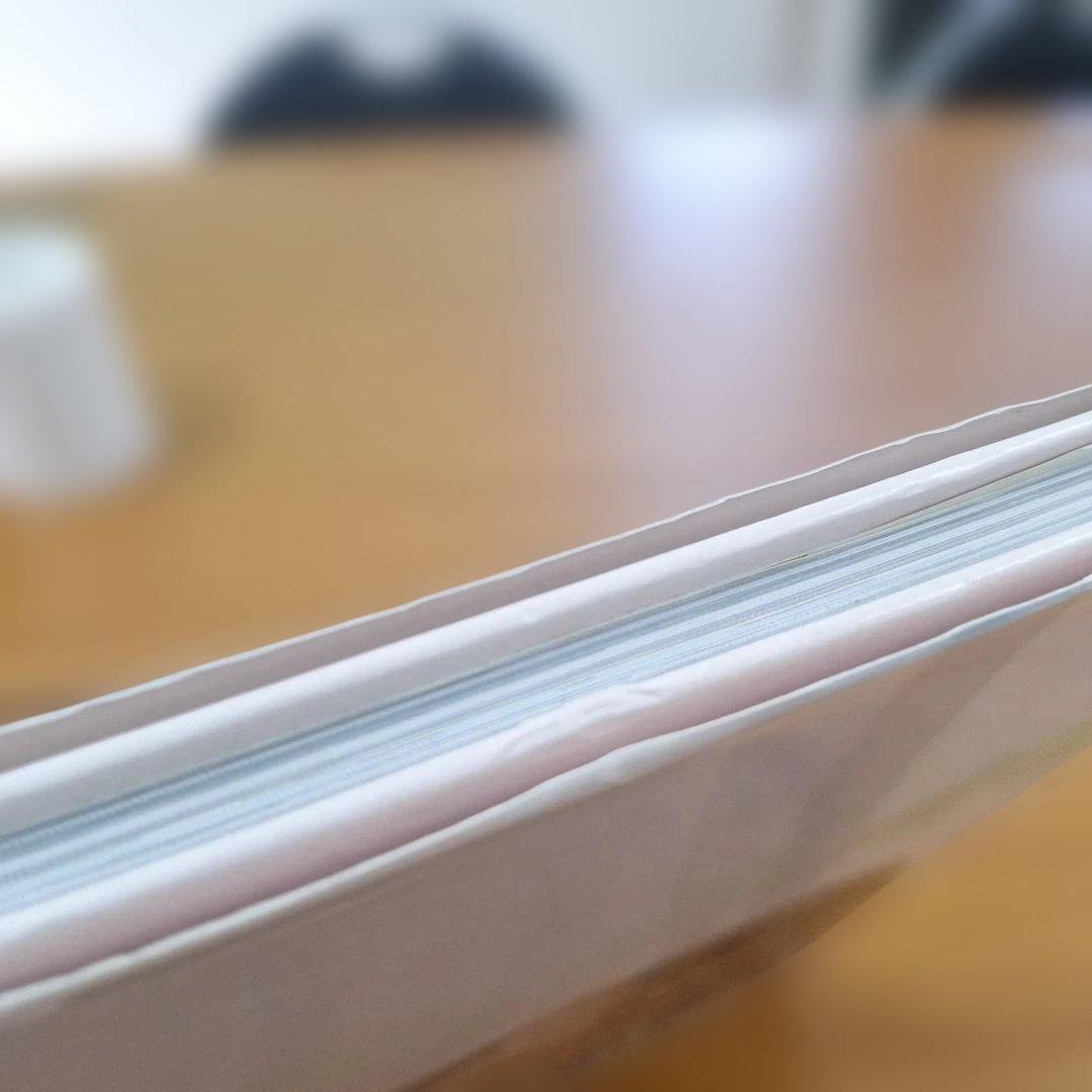 瑠璃色のカランドリエ 柊瑠美写真集