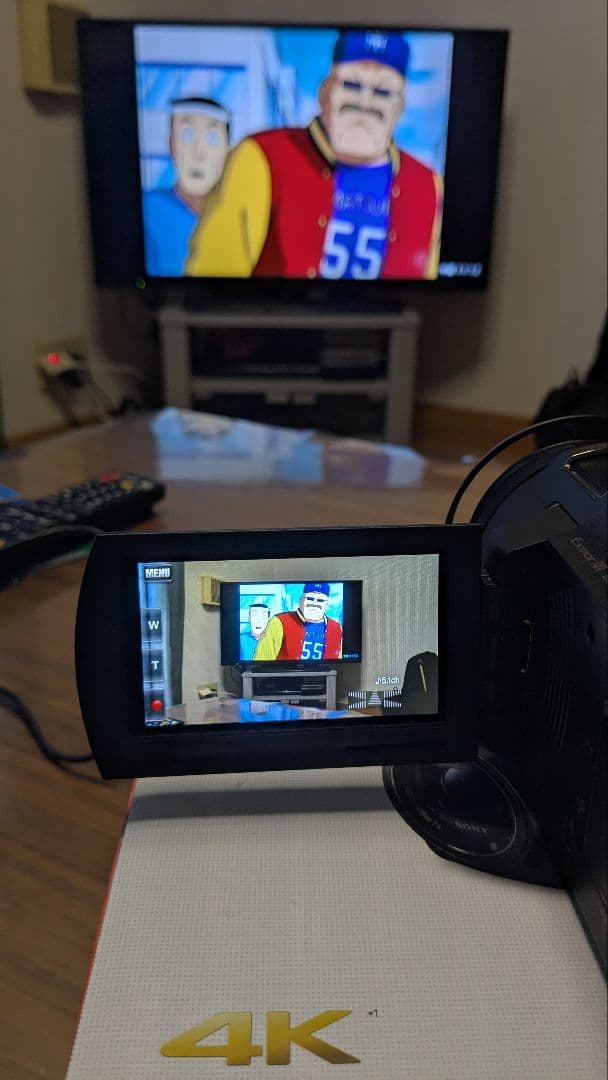 【美品】SONY FDR-AX30 4Kビデオカメラ本体