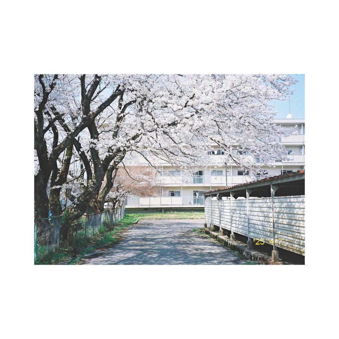 ⌘完動品！ 作例あり、電池付き！ PENTAX ESPIO 115M⌘