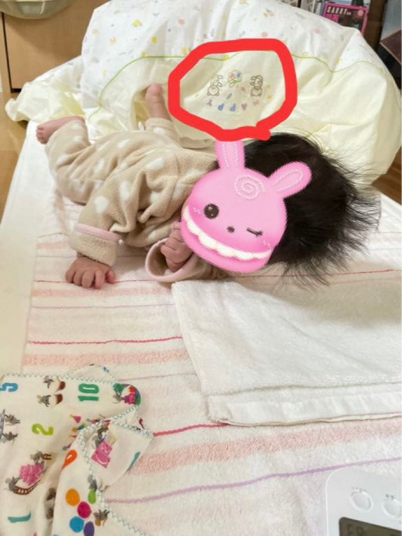 【美品】京都西川　ローズベビー 羽毛ふとん 10点セット 色:クリーム