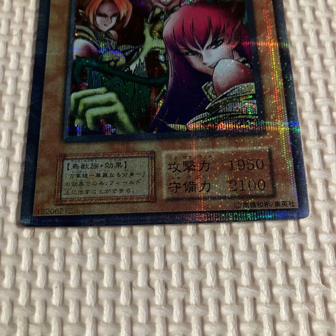遊戯王 ハーピィ・レディ三姉妹