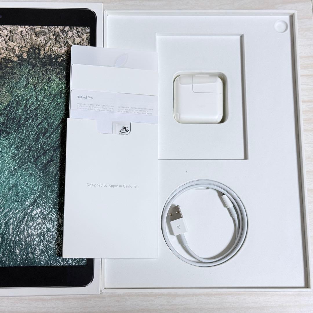 う*に様 美品 Apple iPad Pro 10.5インチ 256GB スペー