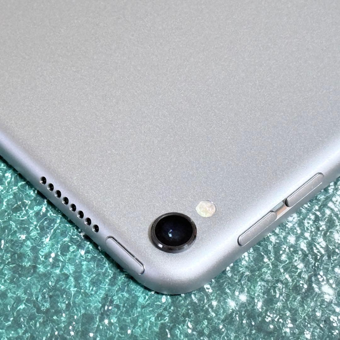 う*に様 美品 Apple iPad Pro 10.5インチ 256GB スペー