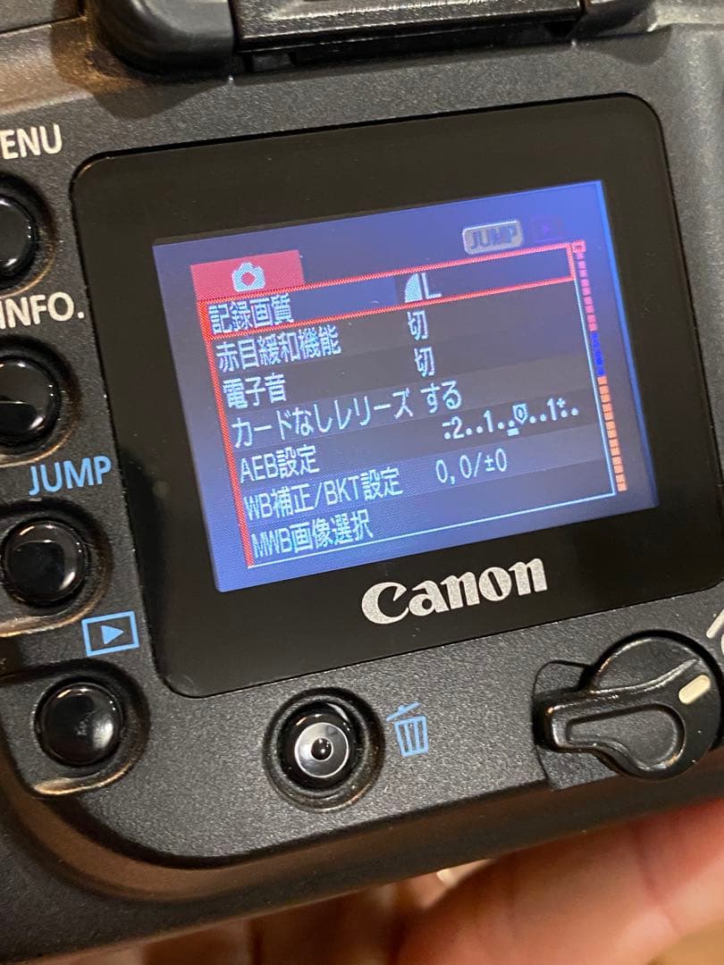 Canon EOS 20D デジタル一眼　EF-s 17-85 動作品※注