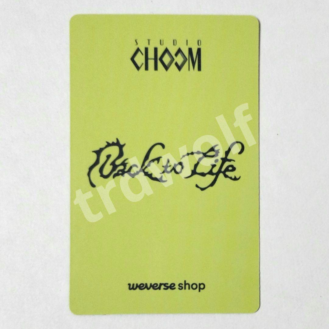 &TEAM ニコラス BTL スチュム STUDIO CHOOM トレカ