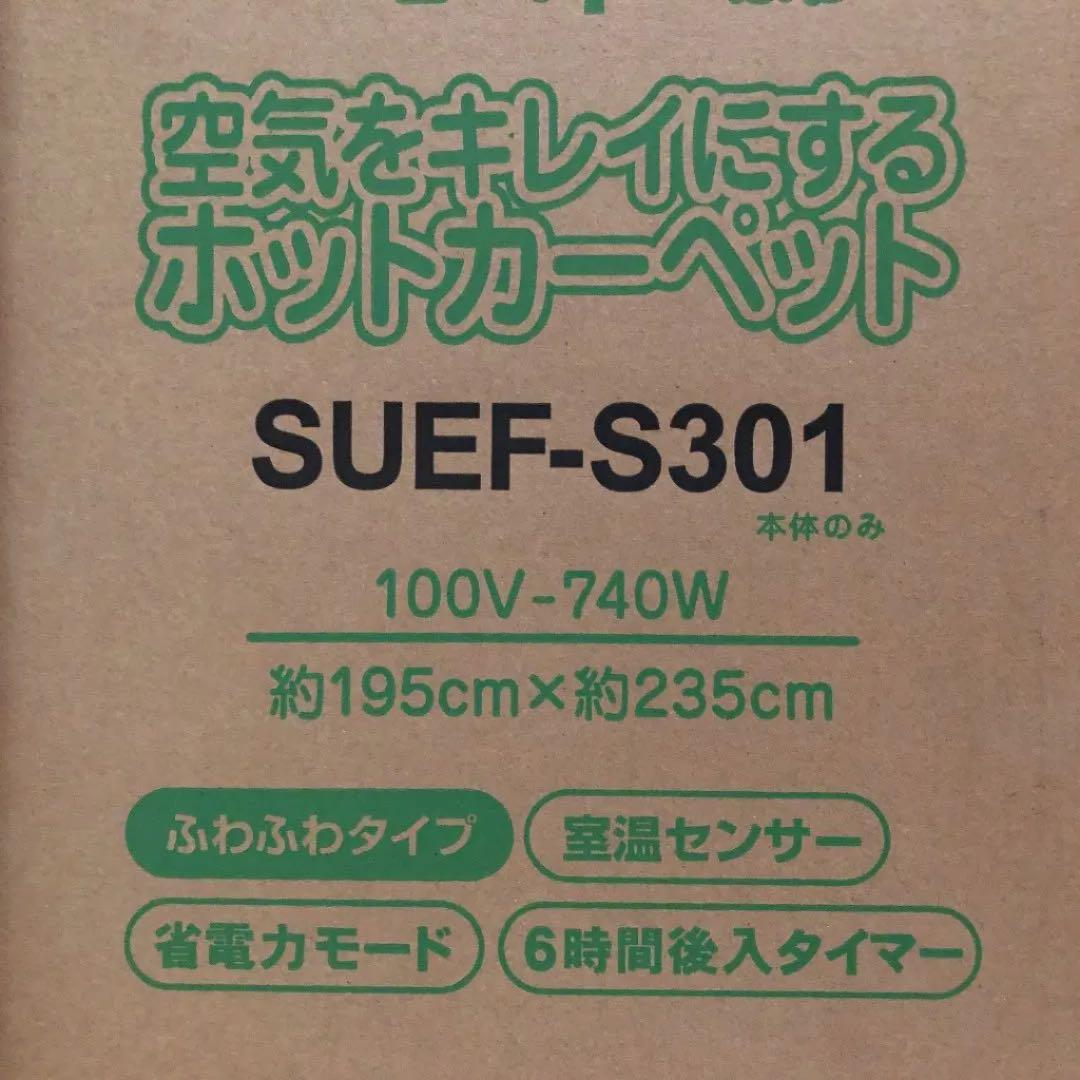 空気をキレイにするホットカーペット３畳