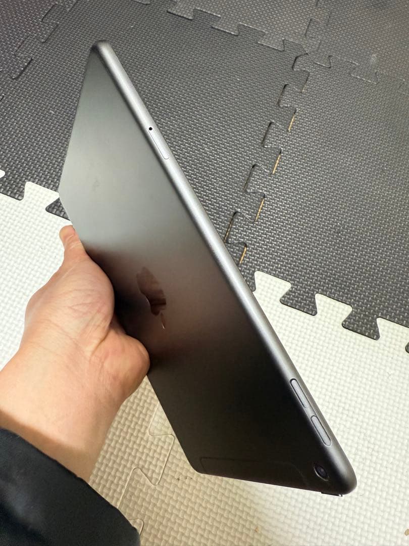 iPad本体 iPad mini 5 64GB Cellular Au