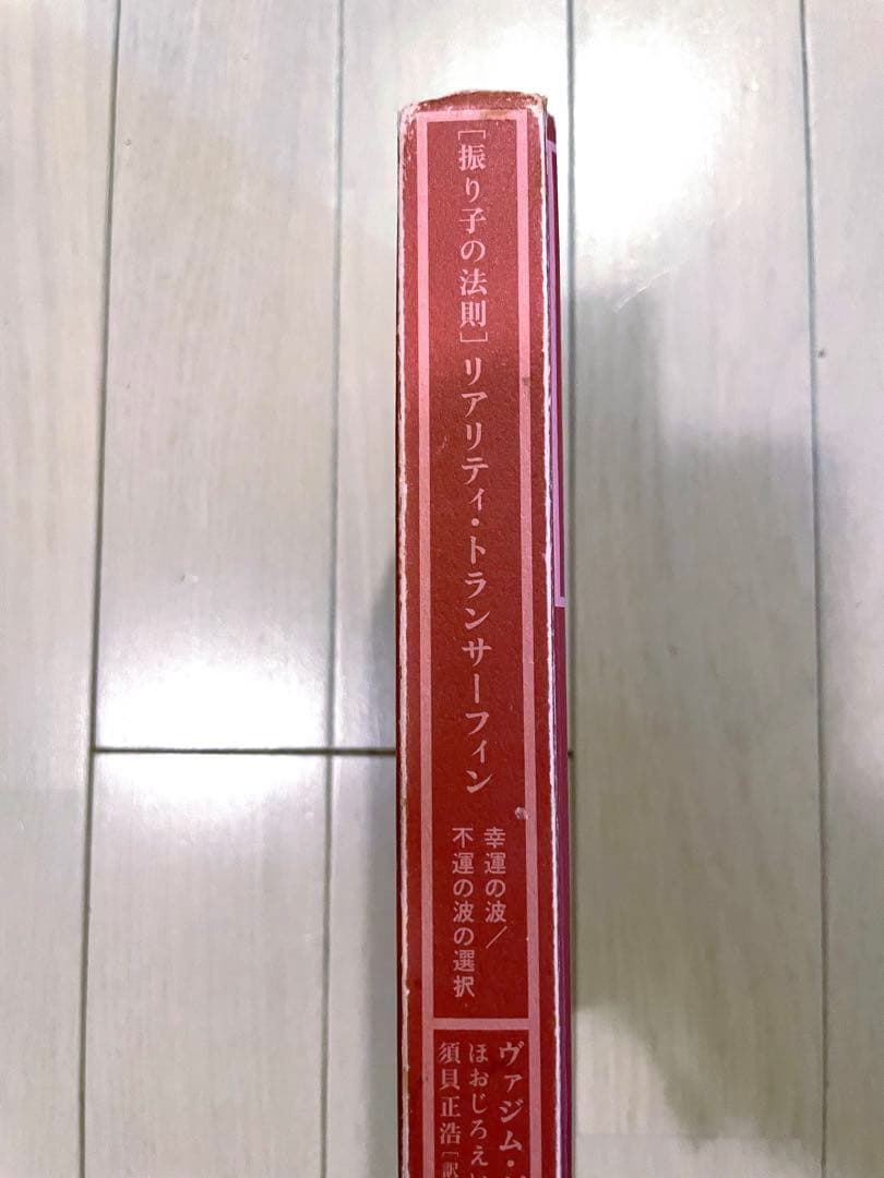 振り子の法則　リアリティ•トランサーフィン　ヴァジム・ゼランド