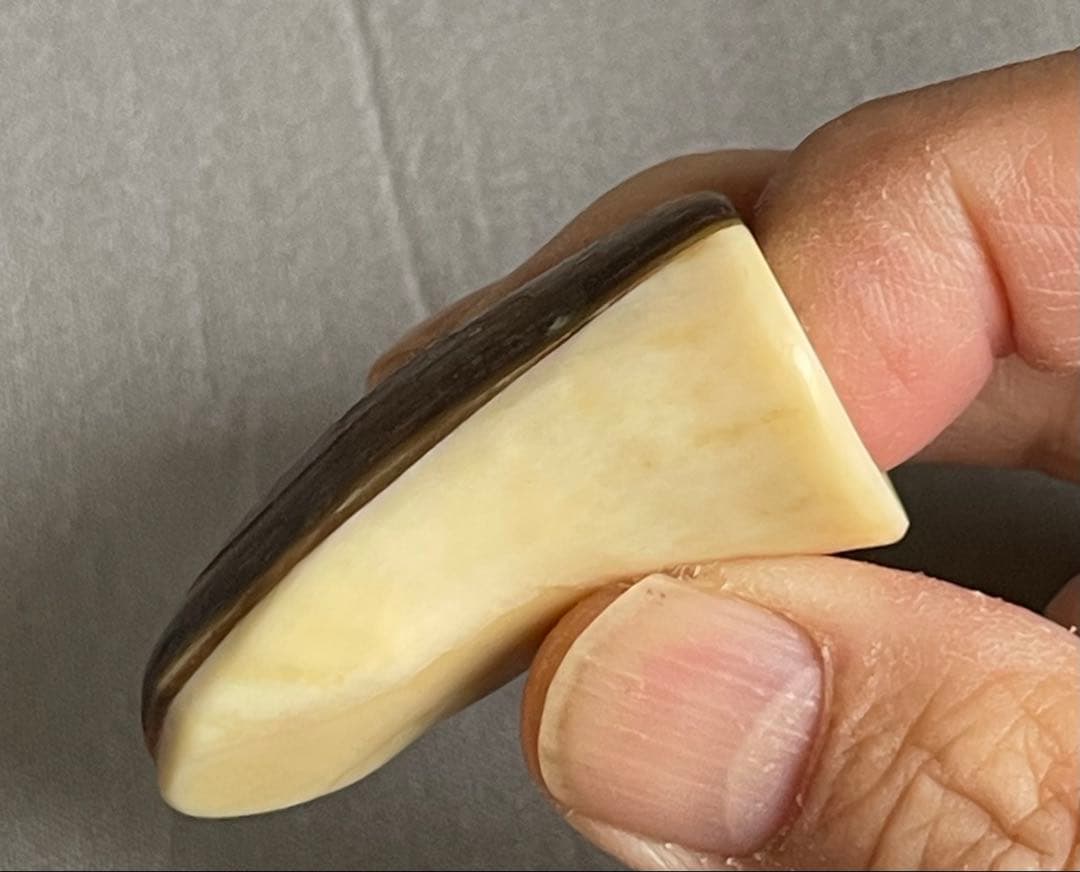 三線用　爪　鯨髭＋鯨歯　Bタイプ　最終出品分