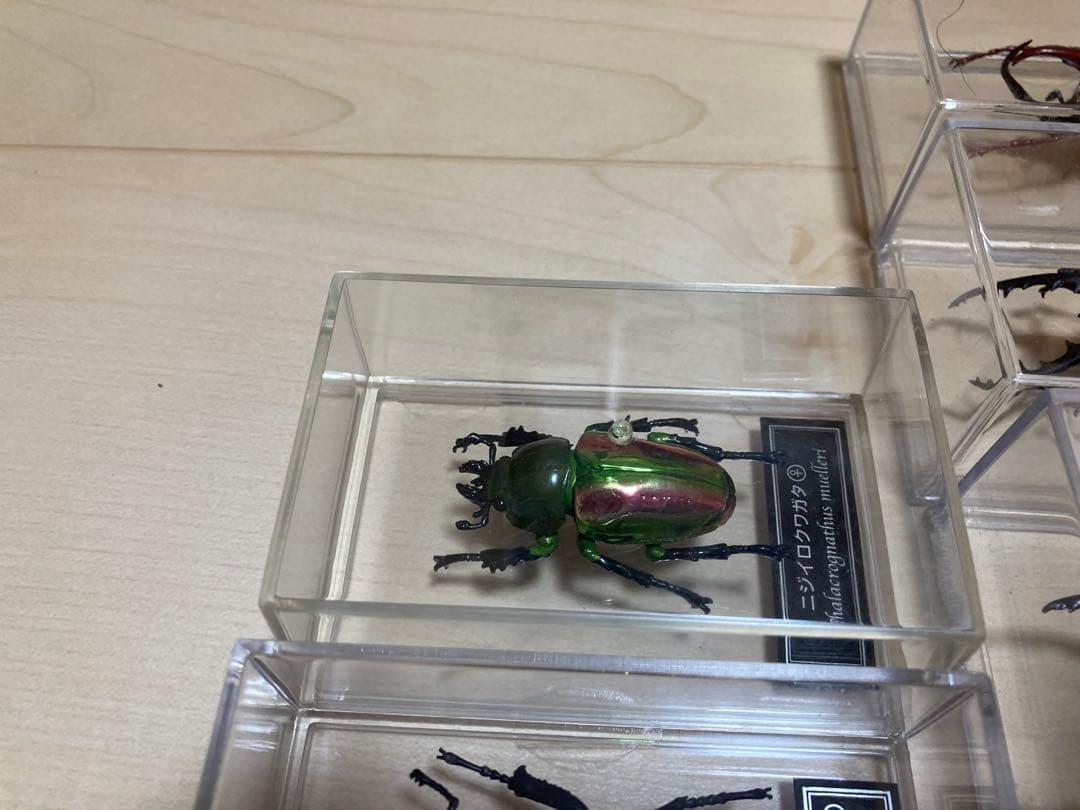 ディアゴスティーニ世界の昆虫全64種コンプリート　クワガタカブトムシ　フィギュア