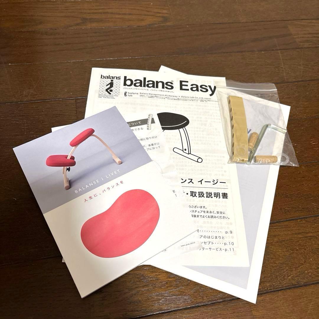 【美品】バランスイージー ブラウン ブルーカバー 通常フレーム オプション付き