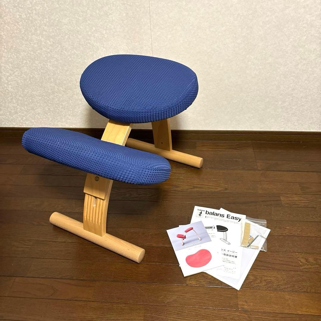 【美品】バランスイージー ブラウン ブルーカバー 通常フレーム オプション付き