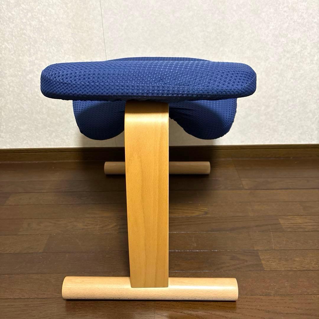 【美品】バランスイージー ブラウン ブルーカバー 通常フレーム オプション付き