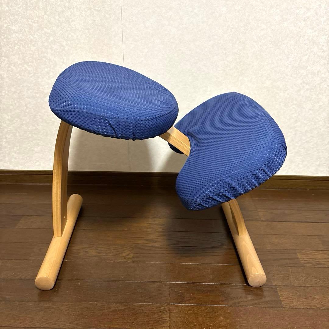 【美品】バランスイージー ブラウン ブルーカバー 通常フレーム オプション付き