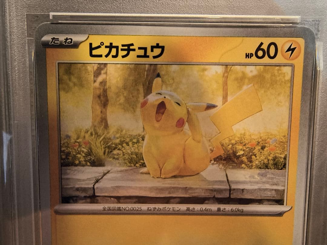 【3連番PSA10】ピカチュウ PROMO 242/SV-P イラストコンテスト