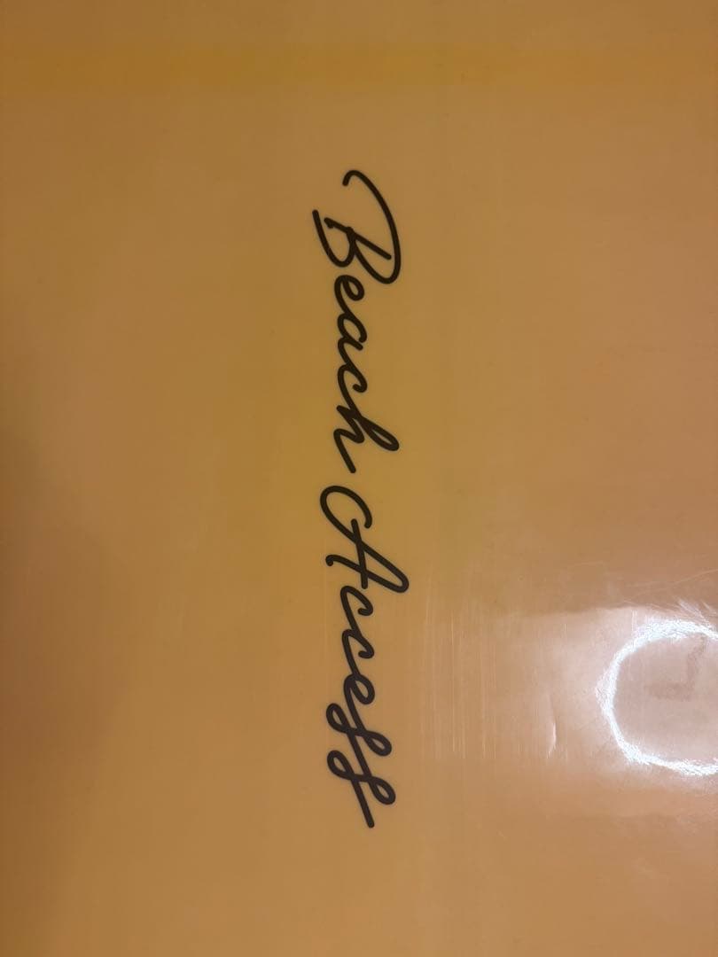 Beach Access ビーチアクセス ロング ソフトボード 8.0 73L