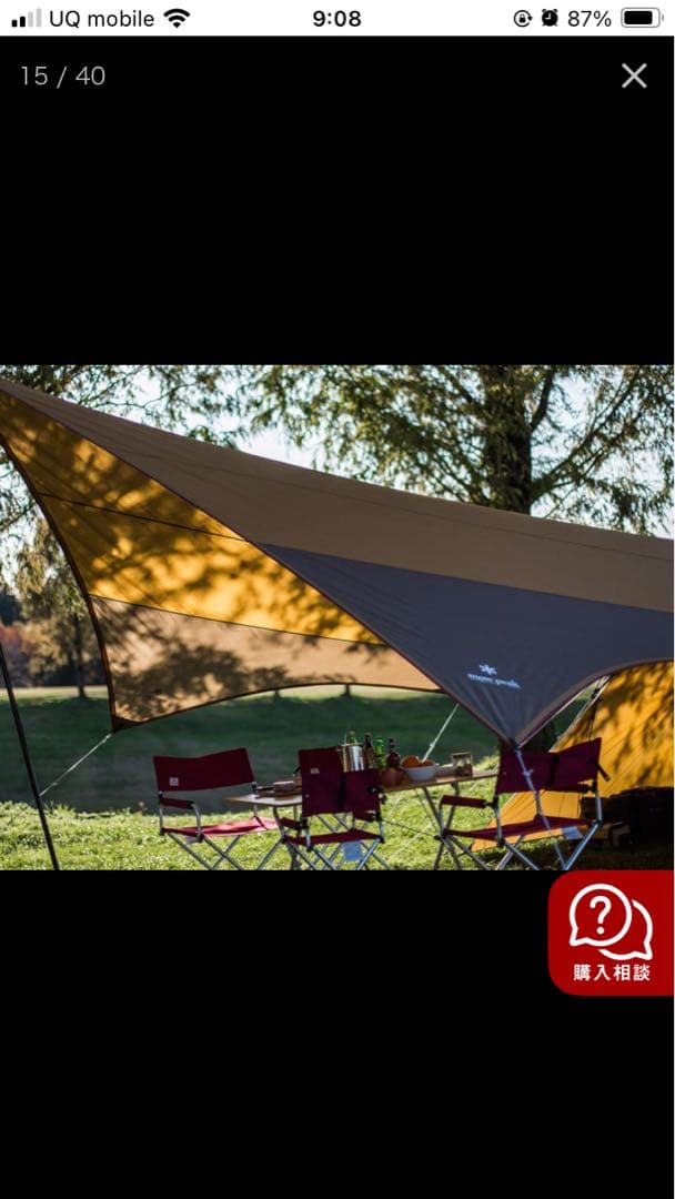 ヤ*リ様 値下げ_peakエントリーパックTT SET-250付属ヘキサ