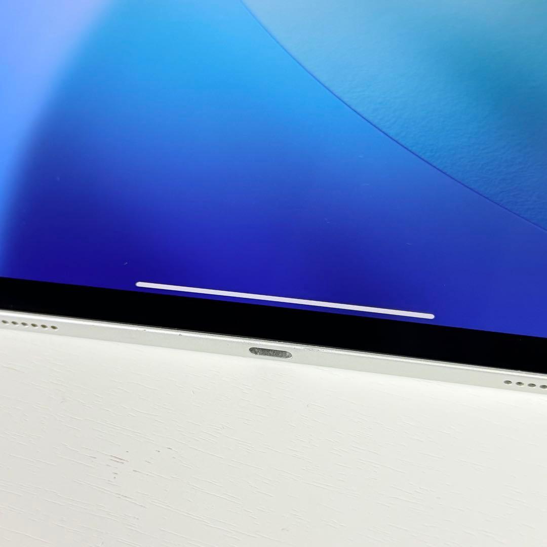 美品 iPad Pro 12.9インチ（第4世代）256GB Wi-Fiモデル