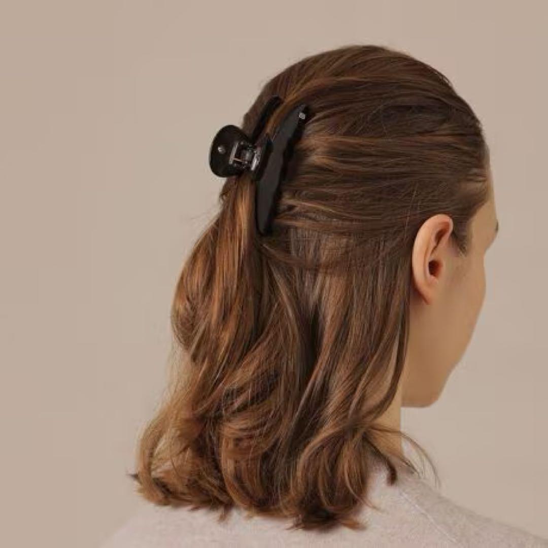 新品 ALEXANDRE DE PARIS ベーシッククリップ　¥27500 黒