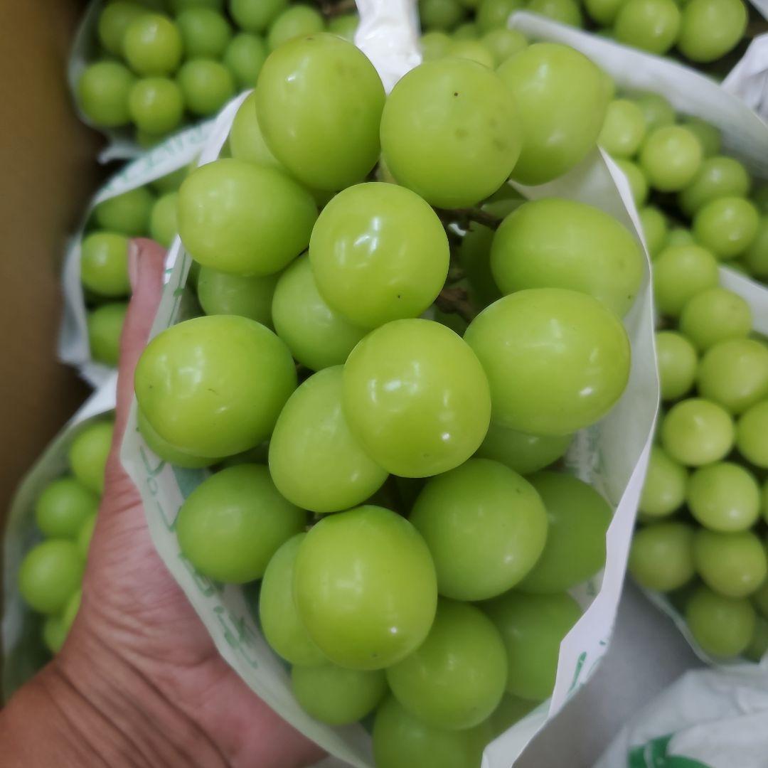 3️⃣ 山梨県産 シャインマスカット １０房入り 箱込み5.5キロ