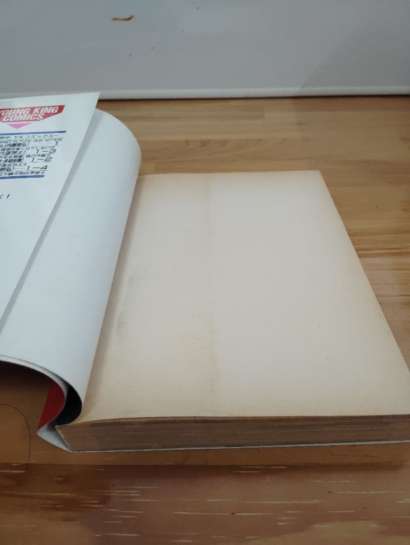 ヘルシング　全巻セット　全巻初版