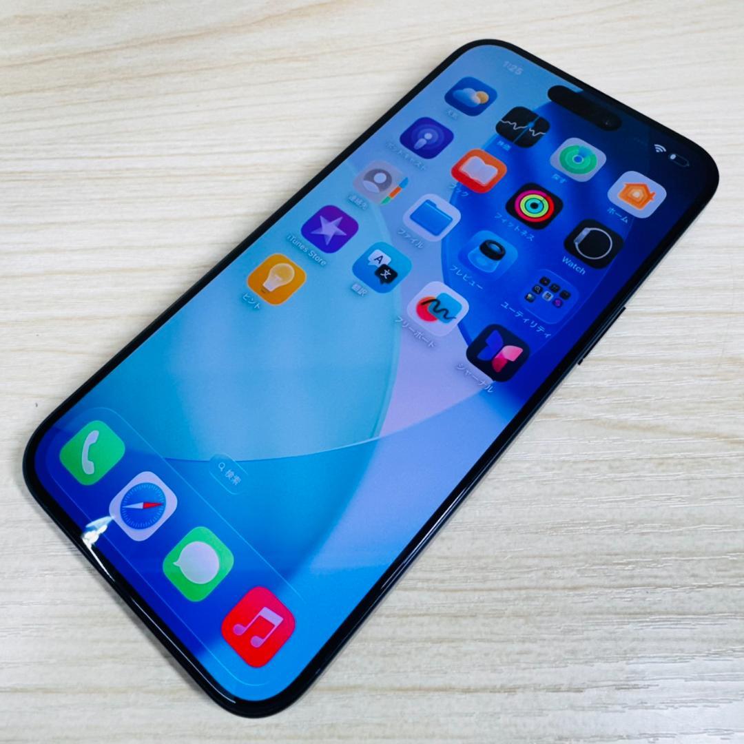 P325 超美品 iPhone15 Pro Max 512GB おまけ付き
