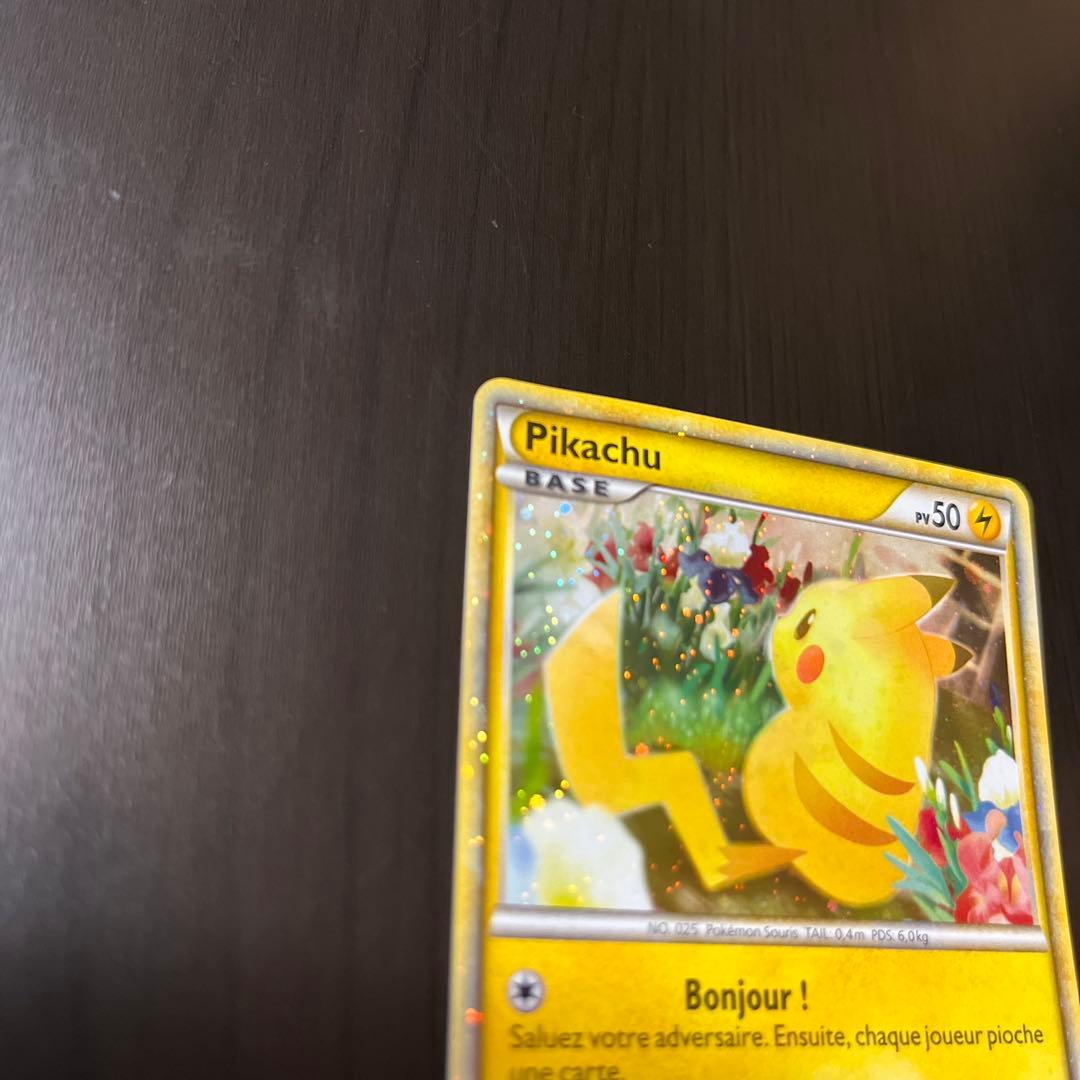 PWピカチュウワールド フランス ピカチュウ LEGEND