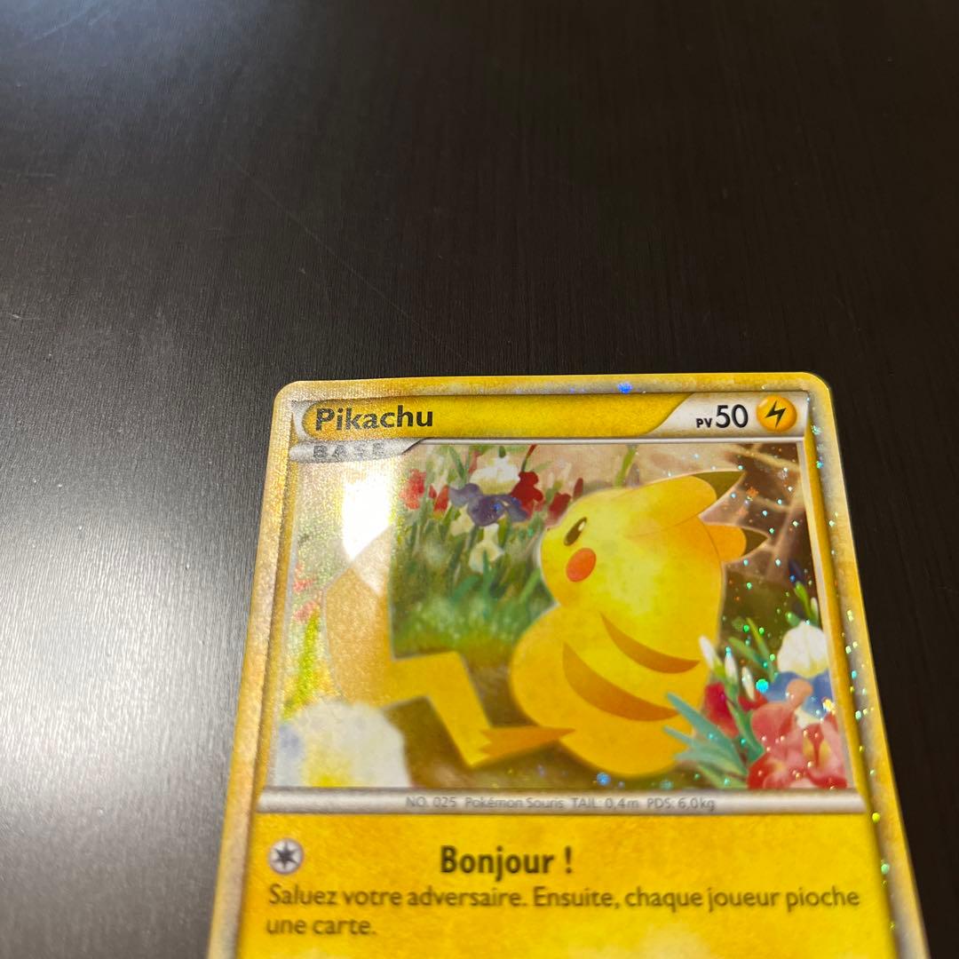 PWピカチュウワールド フランス ピカチュウ LEGEND