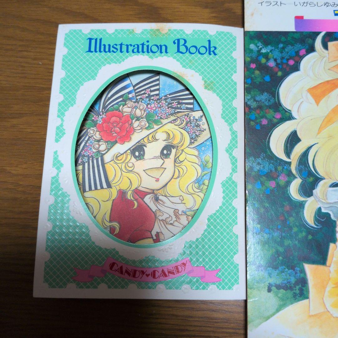 r*a様 キャンディ・キャンディ イラスト集　漫画本　看護婦さんバック複数セット