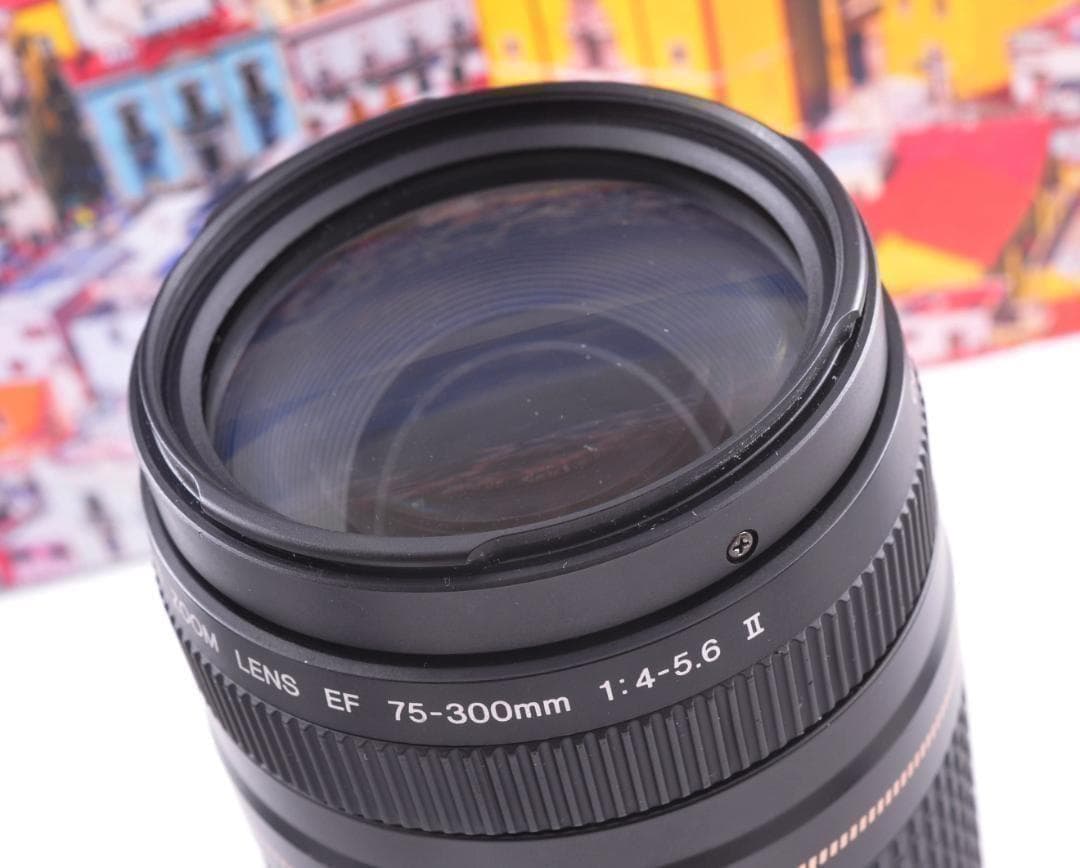 望遠レンズ Canon キヤノン EF75-300mm 想い出の瞬間 完動品