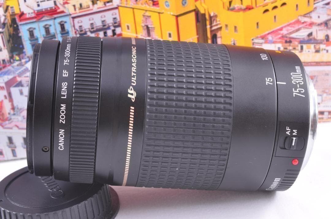 望遠レンズ Canon キヤノン EF75-300mm 想い出の瞬間 完動品