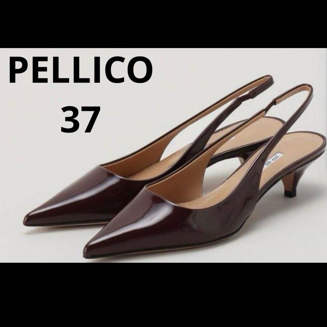 定番人気　PELLICO ペリーコ　バックストラップパンプス